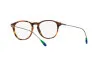 Bril Polo PH 2241 (5441)