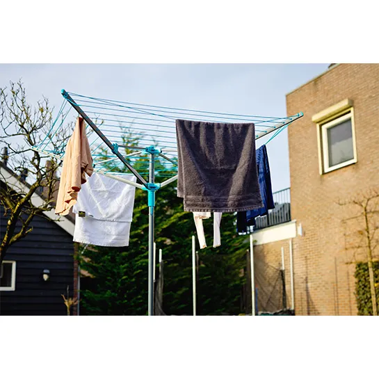 Shine – Droogmolen – 50 Meter