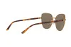 Zonnebril Polo PH 3121 (93247P)