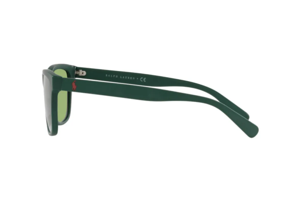Zonnebril Polo PH 4167 (5421/2)