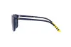 Zonnebril Polo PH 4185U (550680)