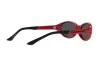 Zonnebril Polo PH 4197U (609187)