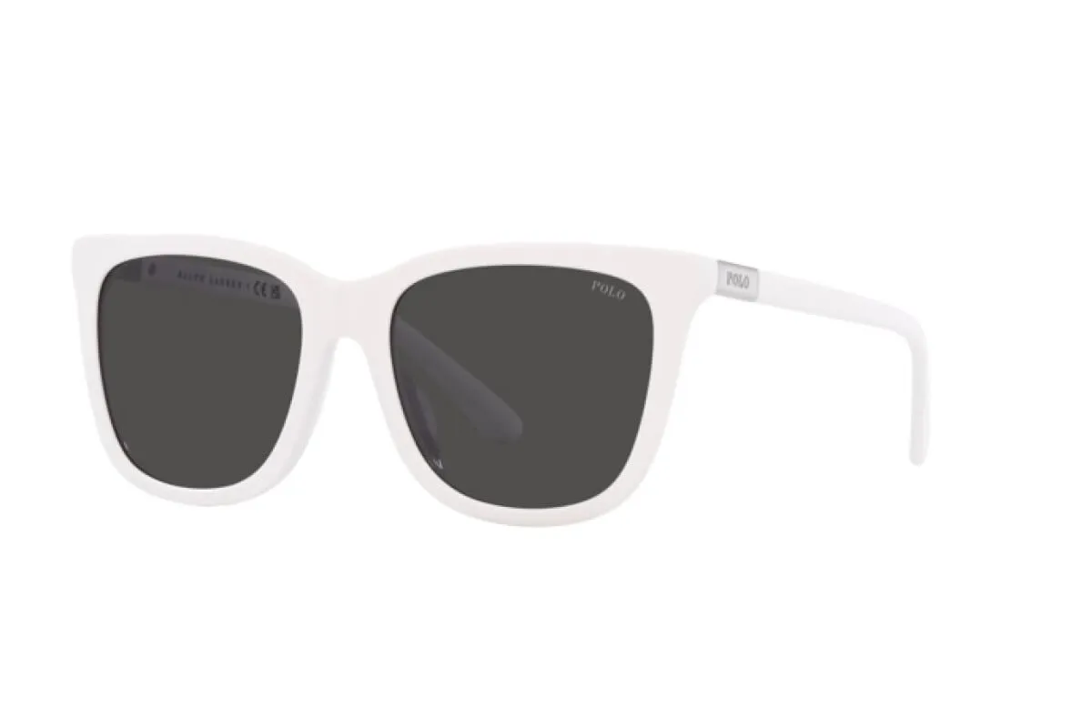 Zonnebril Polo PH 4201U (554487)
